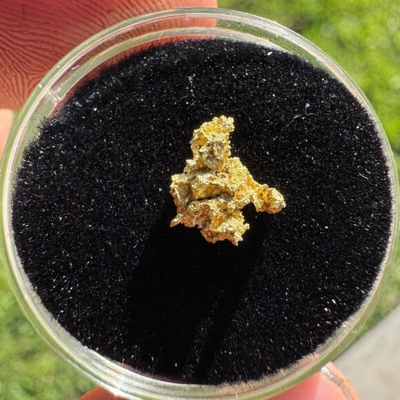 California Native Gold Crystal - 0.39 grams - Picture 2 of 6